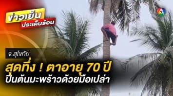 สุดทึ่ง ! “ตาตุ่น” อายุ 70 ปี ปีนต้นมะพร้าวมือเปล่า วันเดียว 20 ต้น จ.สุโขทัย