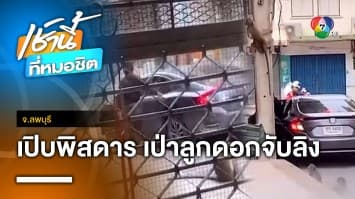 ขับเก๋งเป่าลูกดอกยาสลบใส่ลิงจับใส่รถกว่า 10 ตัว คาดส่งแก๊งเปิบพิสดาร จ.ลพบุรี