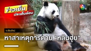 สุดช็อก ! แพนด้า “หลินฮุ่ย” ลากลับดาวหมี ด้านเจ้าหน้าที่ ยังไม่ทราบสาเหตุการตาย