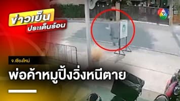 ระทึก ! พ่อค้าหมูปิ้งวิ่งหนีตาย หลังถูกฝูงผึ้งหลวงรุมต่อย จ.เชียงใหม่