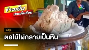 สุดฮือฮา ! ตอไม้ไผ่กลายเป็นหิน คาดอายุไม่ต่ำกว่า 300 ปี จ.สตูล