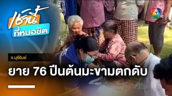 สลด ! ยายวัย 76 ปีนต้นมะขามทำมะขามเปียก ร่วงเสียชีวิต จ.บุรีรัมย์