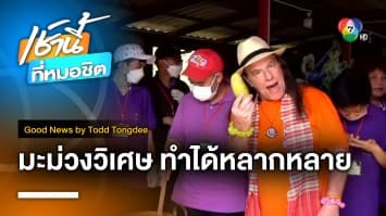 มะม่วงผลวิเศษ Mango Magic | Good News by Todd Tongdee