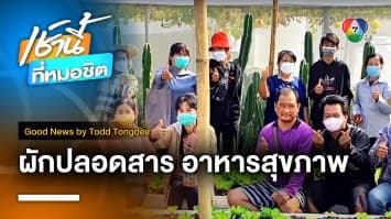 ผักปลอดสาร อาหารสุขภาพ | Good News by Todd Tongdee