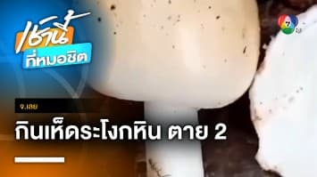 เตือนภัย ! ชาวบ้านกิน “เห็ดระโงก” เสียชีวิต 2 ราย สาหัส 2 ราย จ.เลย