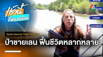 ป่าชายเลน ฟื้นชีวิตหลากหลาย | Good News by Todd Tongdee 