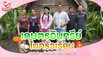 พาชมสวนเกษตรอินทรีย์ในครัวเรือน บางกะเจ้า ฟาร์ม  | ขอกอดหน่อย