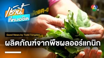 Organic products Chumpon ผลิตภัณฑ์จากพืชผล OGANIC | Good News by Todd Tongdee