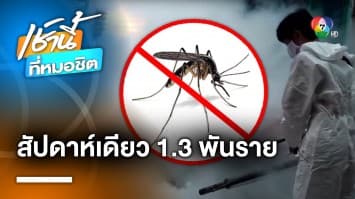 สธ. เผย ไข้เลือดออก ระบาดหนัก สัปดาห์เดียวพบผู้ป่วย 1.3 พันราย