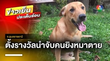 เจ้าของสุดทน ! ตั้งรางวัลนำจับ 1 แสนบาท ล่าคนร้ายยิงหมาตาย จ.อุบลราชธานี