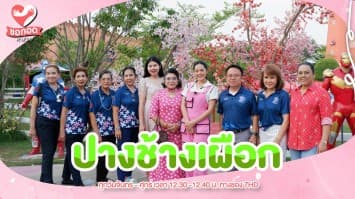 พาชม ช้างเผือกแคมป์ หมู่บ้านสาธิตวิถีชีวิตกะเหรี่ยงคอยาว | ขอกอดหน่อย