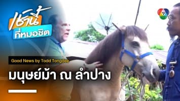 Lampang Horse Man มนุษย์ม้า ณ ลำปาง | Good News by Todd Tongdee