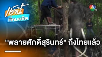 “พลายศักดิ์สุรินทร์” ช้างทูตสันถวไมตรี ถึงแผ่นดินไทยแล้ว