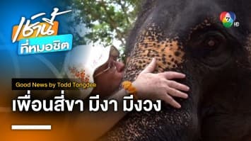 ช้างไทยให้อะไรกับเรา | Good News by Todd Tongdee 