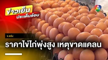 เดือดร้อนหนัก ! ราคาไข่ไก่พุ่งสูง เหตุขาดแคลน-อยู่ในช่วงเปิดเทอม จ.ตรัง