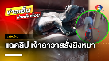 ชาวบ้านสุดทน ! แฉคลิป เจ้าอาวาสสั่งยิงหมาในวัด ลั่น “ยิงให้ตายเลย” จ.เชียงใหม่