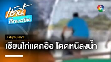 ฝ่ายปกครองบุกจับวงไก่ชน ย่านบางบ่อ เซียนแตกฮือกระโดดหนีลงน้ำ จ.สมุทรปราการ