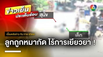 แม่ร้อง “กัน จอมพลัง” ลูกถูกสุนัขเพื่อนบ้านกัดเจ็บ ไร้การเยียวยา | เบื้องหลังข่าว กับ กาย สวิตต์