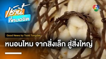 “หนอนไหม” จากสิ่งเล็ก สู่สิ่งใหญ่ | Good News by Todd Tongdee 