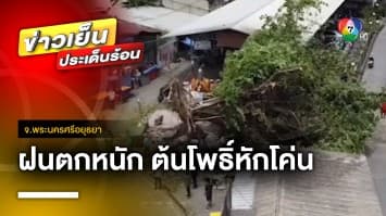 ฝนตกหนัก ! ต้นโพธิ์ใหญ่อายุร้อยปีหักโค่น เคราะห์ดี ไร้ผู้บาดเจ็บ จ.อยุธยา