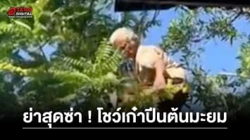 คุณย่าสุดซ่า ! ปีนต้นมะยมโชว์เก๋า ก่อนหักกิ่งมะยมด้วยมือข้างเดียว