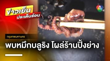 ผงะ ! พบ “หมึกบลูริง” ร้านปิ้งย่างชื่อดัง ผู้เชี่ยวชาญ ชี้ มีพิษ ห้ามกิน