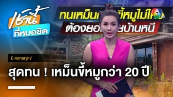 ชาวบ้านสุดทน ดมกลิ่นขี้หมูนานกว่า 20 ปี จ.ราชบุรี | บี คลายทุกข์