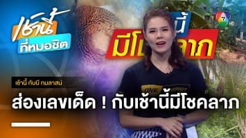 ขอโชคลาภต้นกล้วยแปลก ออก 3 ปลีใน 3 เครือ จ.มหาสารคาม | เช้านี้กับ บี กมลาสน์