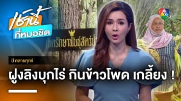 ชาวบ้านสุดทน ! ฝูงลิงป่าบุกกินข้าวโพดเกลี้ยง เสียหาย 4 ไร่ จ.กำแพงเพชร | บี คลายทุกข์