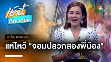 จอมปลวกสองพี่น้อง คล้ายพญานาคโผล่ต้นตะเคียนทอง จ.ปราจีนบุรี | เช้านี้กับ บี กมลาสน์