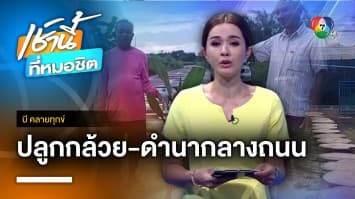 ปลูกกล้วยประชด ถนนพัง 70 ปีไม่ซ่อม จ.กาฬสินธุ์ | บี คลายทุกข์