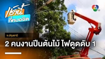 สลด ! พี่-น้องชาวเมียนมา ปีนตัดต้นไม้พลาดถูกไฟดูด เสียชีวิต 1 ราย จ.ปทุมธานี