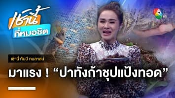 ชาวนาขาย “ปาทังกาชุบแป้งทอด” สร้างรายได้ จ.ศรีสะเกษ | เช้านี้กับ บี กมลาสน์