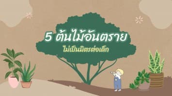 พ่อแม่ต้องรู้ ! 5 ต้นไม้อันตราย ไม่ควรปลูกในบ้าน ไม่เป็นมิตรต่อเด็ก