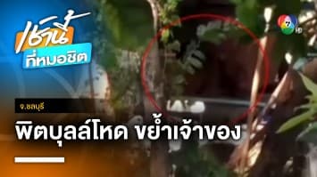 อุทาหรณ์ ! ตาถูกพิตบุลล์ที่เลี้ยงไว้ ขย้ำพรุนทั้งตัวเจ็บสาหัส จ.ชลบุรี | เช้านี้ที่หมอชิต