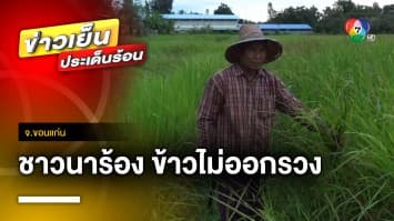 ประกาศ ! ปิดไฟถนนชั่วคราว หลังชาวนาร้อง ข้าวไม่ออกรวง | ข่าวเย็นประเด็นร้อน