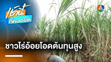 ชาวไร่อ้อยโอด ! ต้นทุนสูง ฟาดนายทุนฟันกำไรพุงปลิ้น | เช้านี้ที่หมอชิต