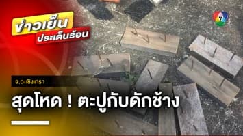 สุดโหดร้าย ! กับดักช้าง ตะปูยาวเท่าฝ่ามือ จ.ฉะเชิงเทรา | ข่าวเย็นประเด็นร้อน