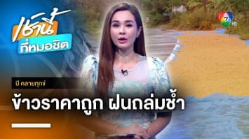 ชาวนาช้ำ ! ข้าวราคาถูก-ฝนตกเปียกเสียหาย จ.สุรินทร์ | บี คลายทุกข์