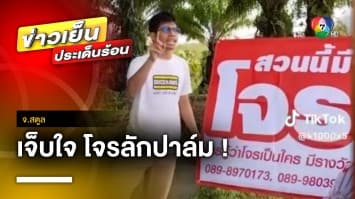 สุดทน ! ติดป้ายรางวัลนำจับ โจรลักตัดปาล์มติดต่อกัน 3 เดือน | ข่าวเย็นประเด็นร้อน