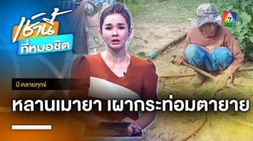 วอนช่วย ! ตายายนอนกลางไร่ หลังหลานเมายาเผากระท่อมวอด จ.นครราชสีมา | บี คลายทุกข์