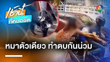 สาวร้อง ! ถูกเพื่อนบ้านจิกหัวตบน่วม เหตุ “หมา” ฉี่ใส่ล้อรถ | เช้านี้ที่หมอชิต