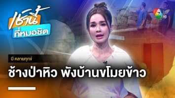 “เจ้ารถถัง” ช้างป่าบุกพังบ้าน ขโมยกินข้าวเปลือก จ.บุรีรัมย์ | บี คลายทุกข์