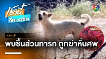 สุดโหด ! สุนัขคาบชิ้นส่วน “ทารก” คาดถูกฆ่าหั่นศพก่อนนำมาทิ้ง จ.สระบุรี | เช้านี้ที่หมอชิต