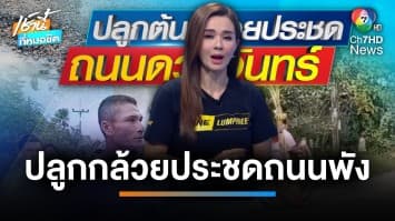 ปลูกต้นกล้วยประชด ถนนชำรุดเป็นหลุมเป็นบ่อ จ.สงขลา | บี คลายทุกข์