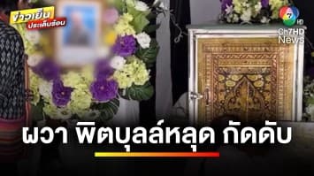 ชาวบ้านผวา ! หมาพิตบุลล์หลุด รุมกัดชายพิการเสียชีวิต | ข่าวเย็นประเด็นร้อน