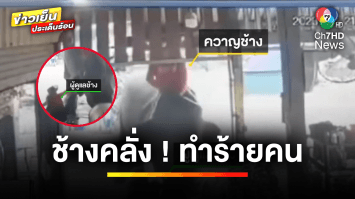 นาทีชีวิต ! ช้างคลั่งอาละวาด ทำร้ายคน-พังข้าวของเสียหาย | ข่าวเย็นประเด็นร้อน