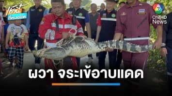 ผวา ! พบ “จระเข้” ยาว 2.5 เมตร นอนอาบแดดคลองรังสิต จ.ปทุมธานี | เช้านี้ที่หมอชิต