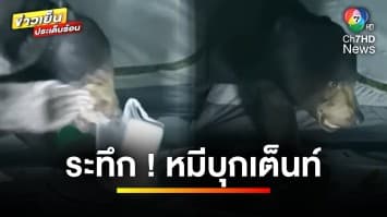นักท่องเที่ยวสาวลุ้นระทึก ! หมีบุกเข้าเต็นท์กลางป่า “แก่งกระจาน” | ข่าวเย็นประเด็นร้อน