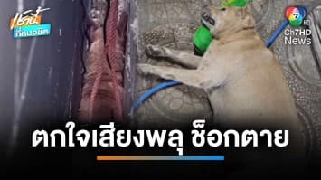 เจ้าของเศร้า ! สุนัขสุดรักตกใจเสียงพลุ ช็อกตายคาบ้าน | เช้านี้ที่หมอชิต